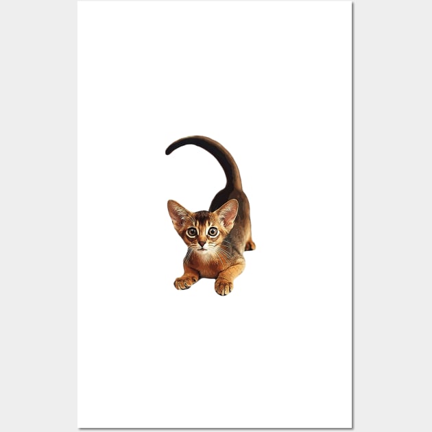 Abyssinian Cat Wall Art by ElegantCat